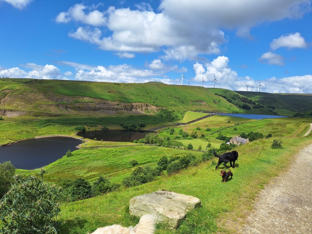Toby & Lupin, Greenbooths Reservoir